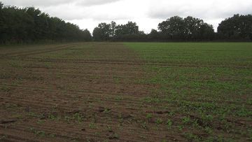 prévenir et gérer le risque de résistance aux herbicides